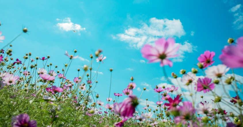 Panorama des actualités du printemps